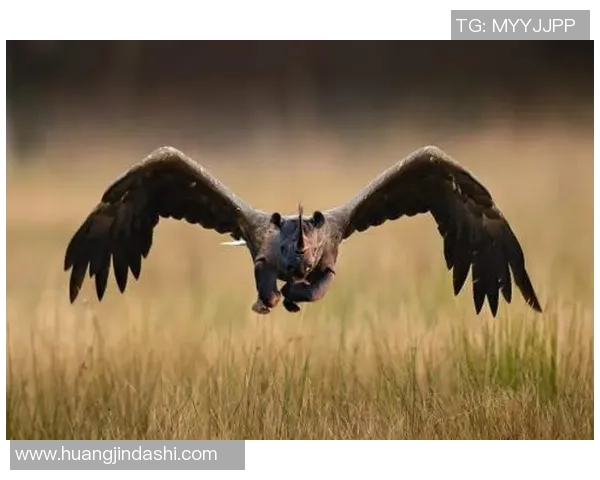 如果足球巨星化身动物世界会有哪些奇妙的对决与传奇故事